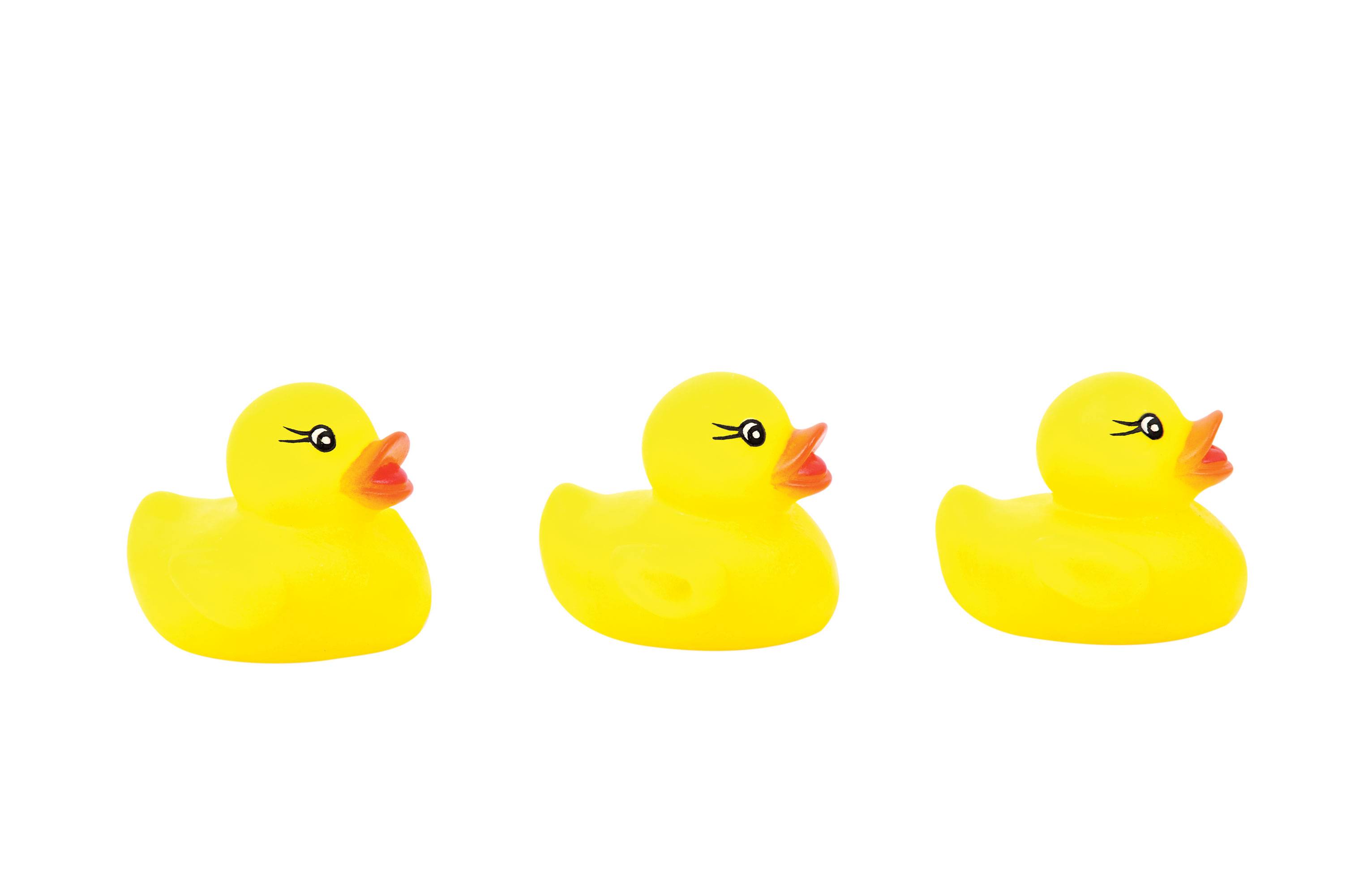 LiteUp Rubber Duckies PDQ
