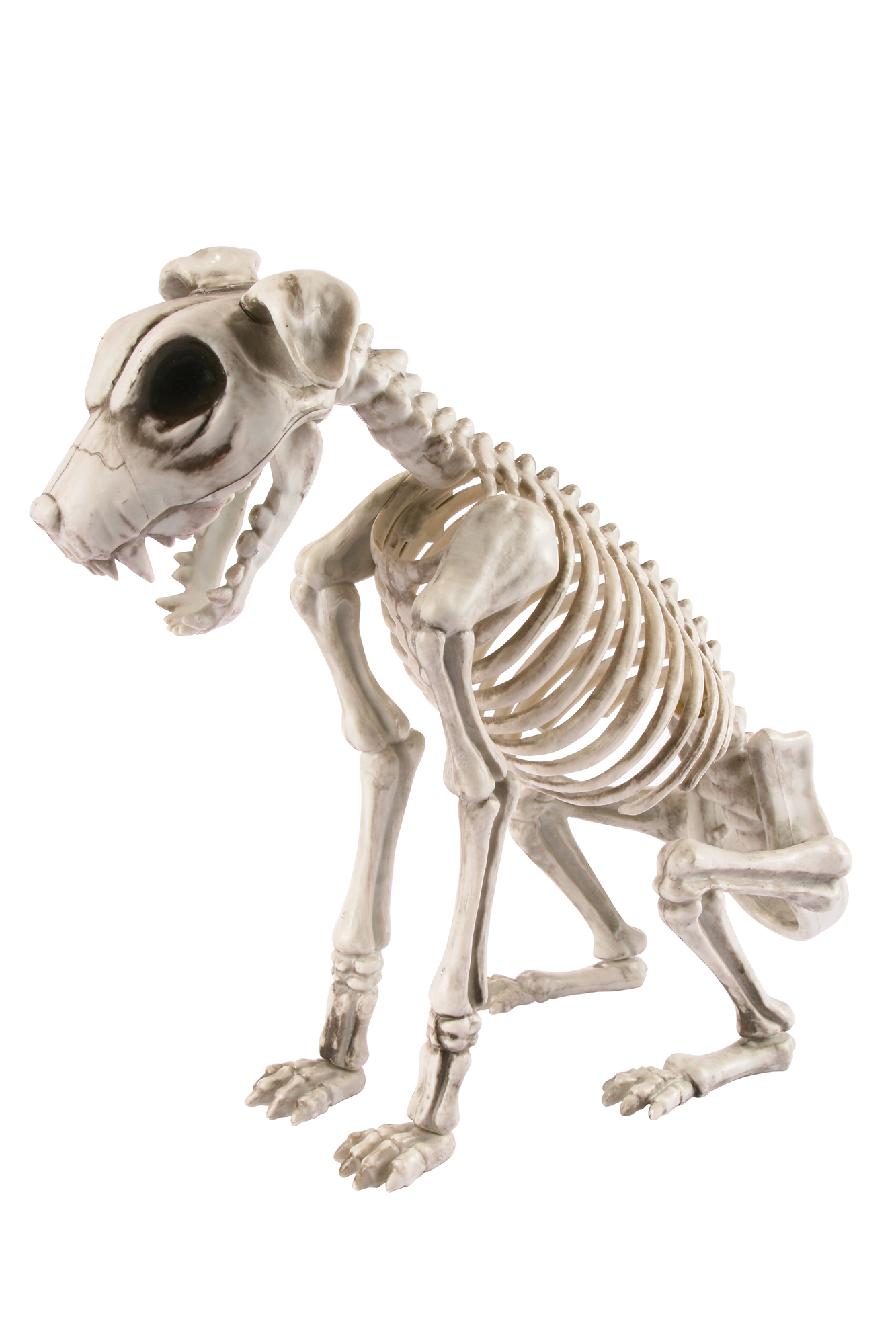 skele tor