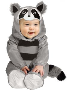 Baby Raccoon - Infant