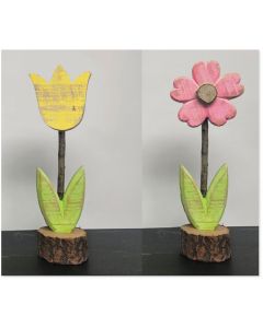 Tulip and Flower Assortment