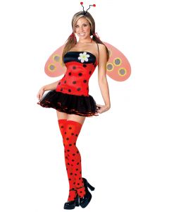 Leggy Ladybug - Adult