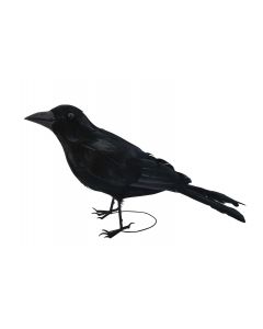 Black Raven w/Feathers