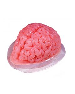 Brain Gelatin Mold