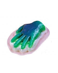 Hand Gelatin Mold