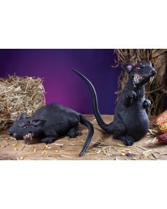 Ferocious Rat Assortment