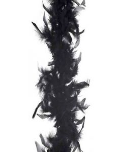 5' Black Feather Boa