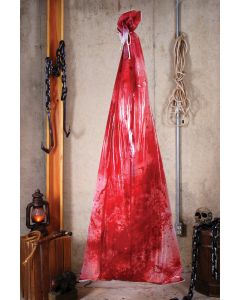 Bloody Body in Bag