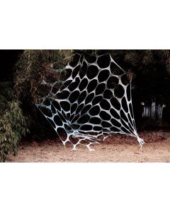 20 Foot Yard Web