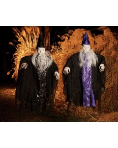 36" Celestial Wizard Assortment