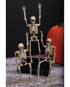 14" Posable Skeleton