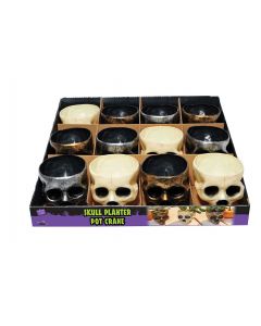 Mini Skull PDQ Bowl