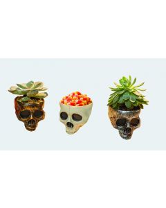 Mini Skull PDQ Bowl/Planter