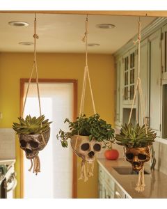 Hanging Skull Planter Assortment