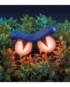 Haunted Hedge