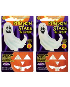 LU Color Change Pumpkin Light & Stake 