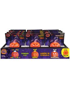 Assorted Pumpkin Lights BC in PDQ 