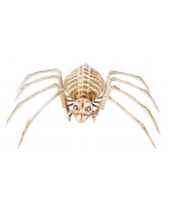 14" Spider Skeleton