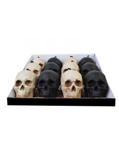 4" Skull Assortment in PDQ