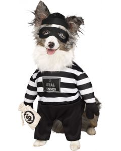 Robber Pup Pet Costume