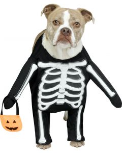 Skele-Dog Pet Costume