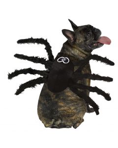 Spider Pet Costume