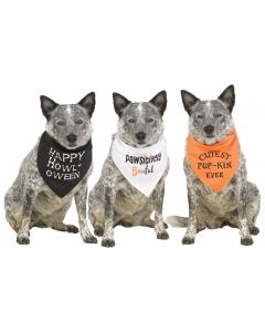 Pet Howl-o-Ween Bandana Assortment