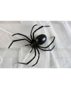 6" Black Widow